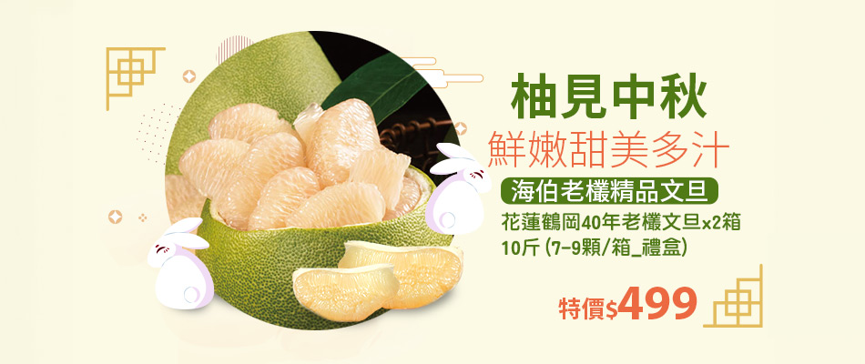 特選　文旦　10kg 02 柚子開採！正宗台南麻豆文旦特級10斤禮盒裝】承載50年的老柚樹